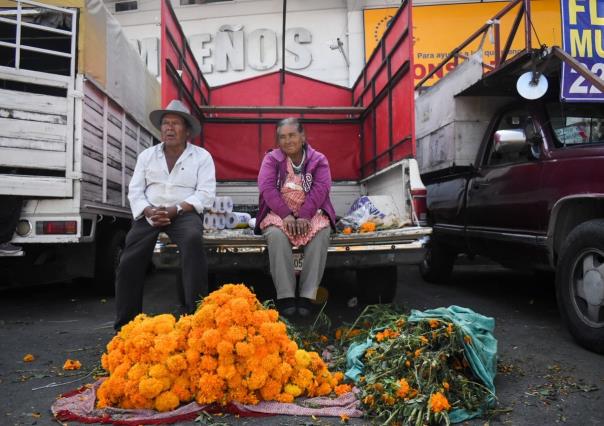 Flor de muerto peligra por torrencial que arrasa el cempasúchil en Puebla