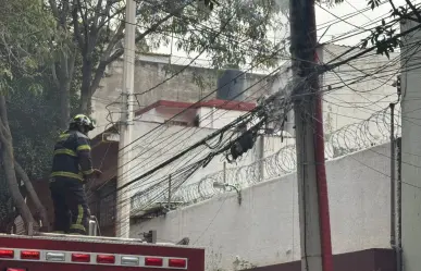 Ardilla provoca corto circuito en San Pedro de los Pinos y muere electrocutada