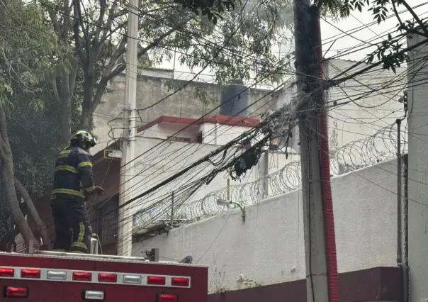 Ardilla provoca corto circuito en San Pedro de los Pinos y muere electrocutada