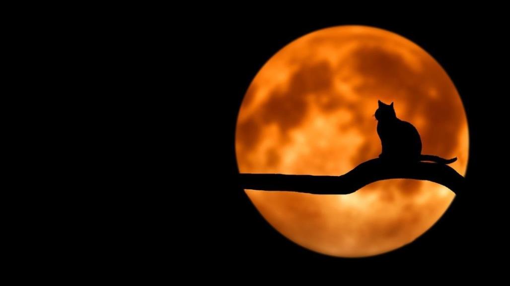 Viene la superluna de octubre: ¿Cuándo podrás verla?