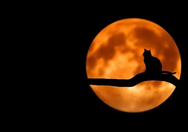 Viene la superluna de octubre: ¿Cuándo podrás verla?