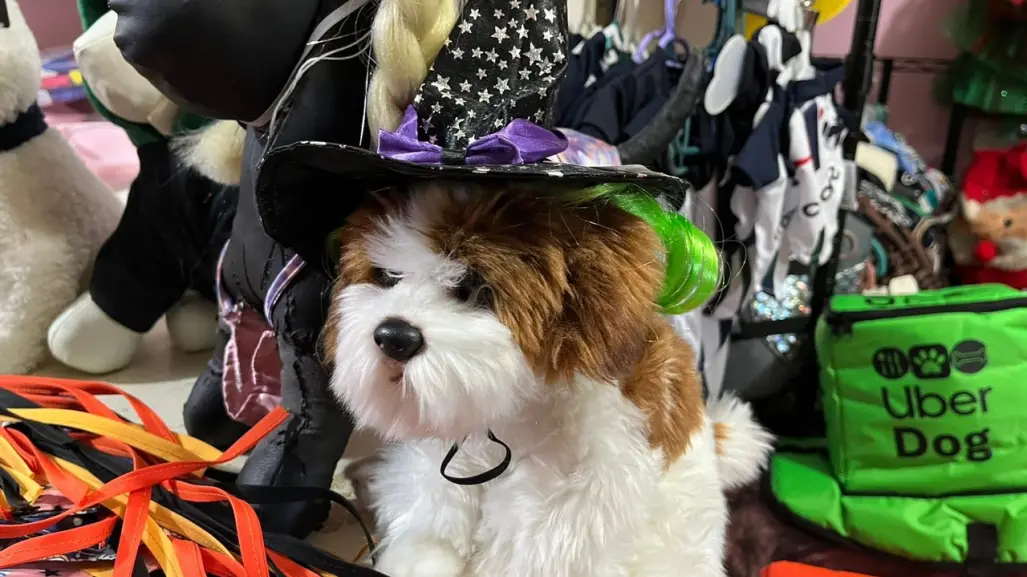 Halloween: estos son los mejores disfraces para tus mascotas