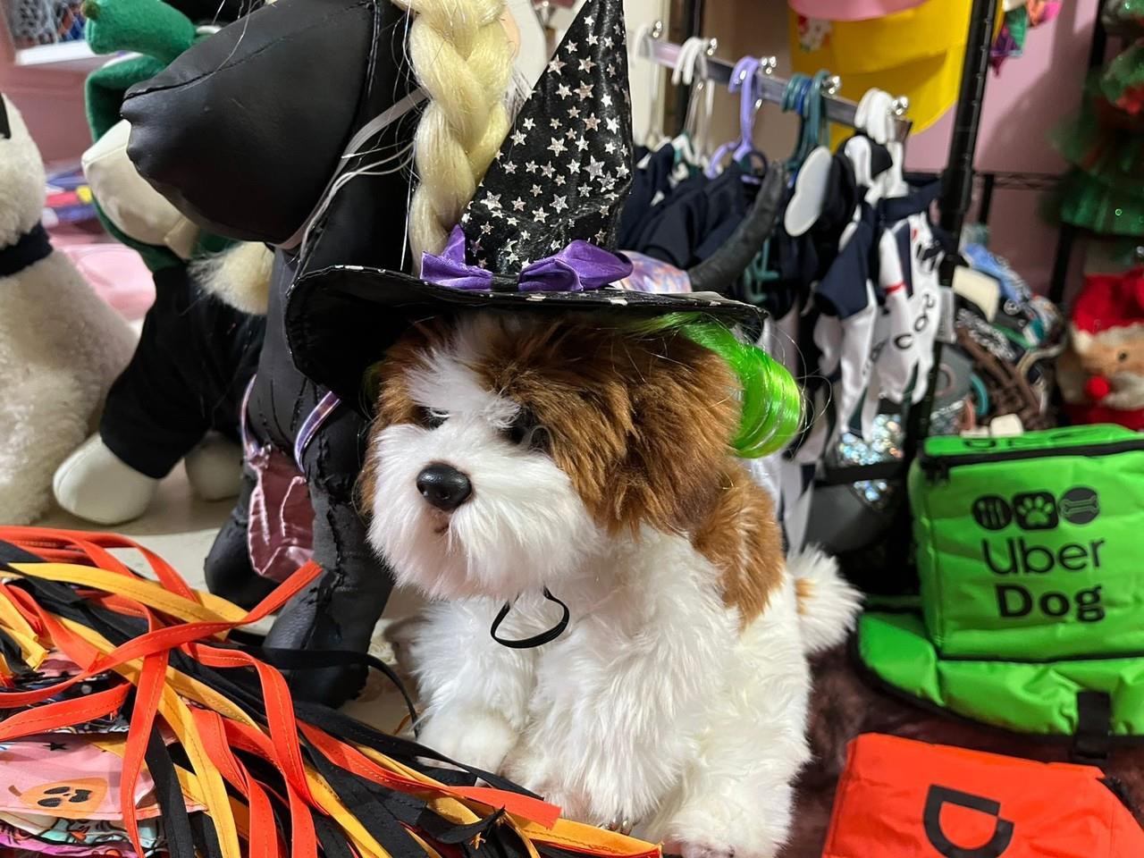 Perrito de peluche con disfraz de bruja. Foto: Azael Valdés