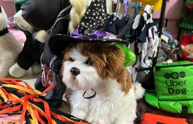 Halloween: estos son los mejores disfraces para tus mascotas