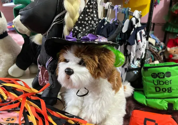 Halloween: estos son los mejores disfraces para tus mascotas