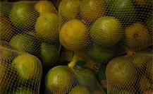 ¿Cuánto se ha incrementado la canasta básica en los últimos meses?