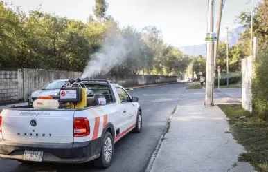 Intensifican fumigación y descacharrización en Santiago para combatir dengue