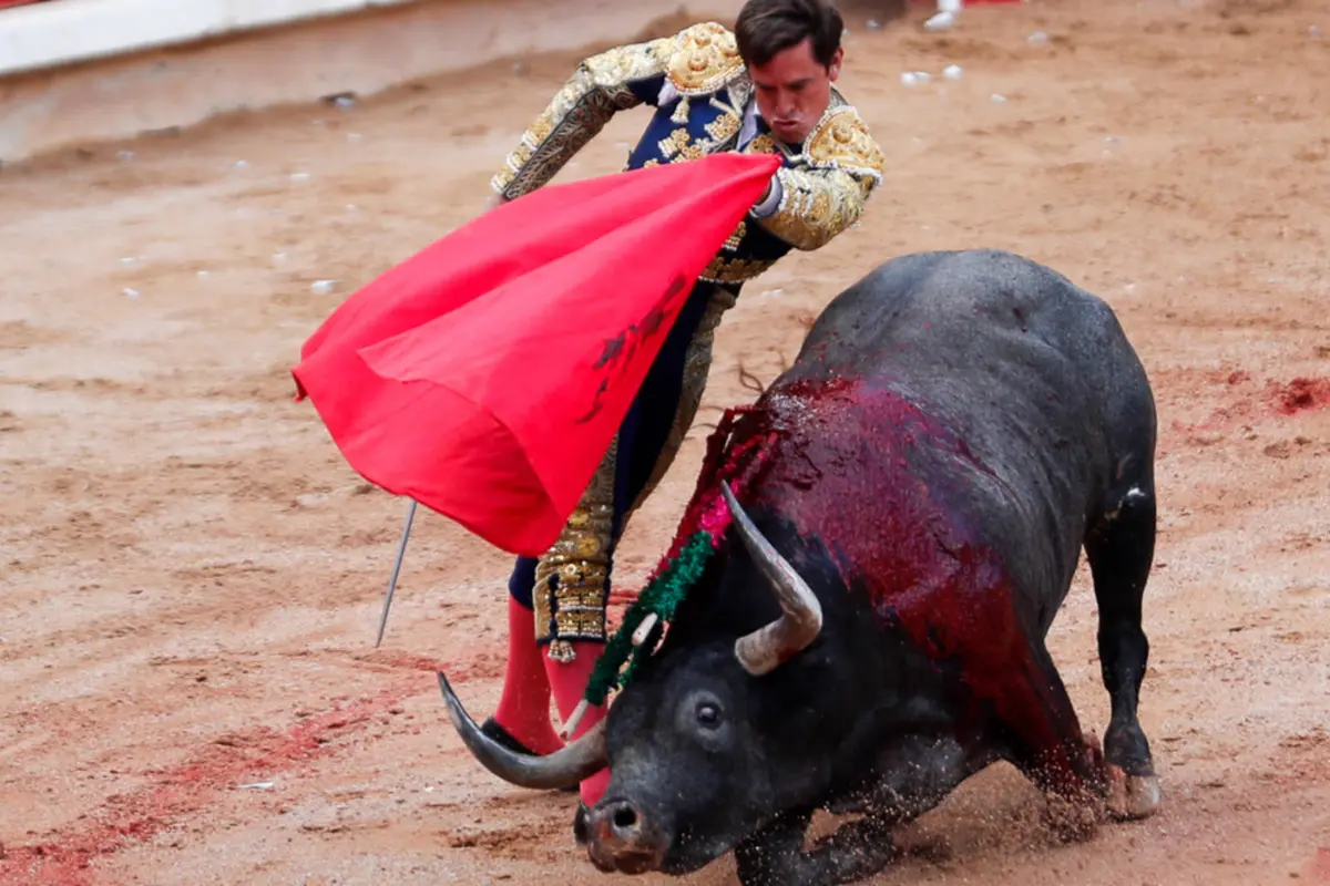 La tauromaquia en Tamaulipas está regulada mas no prohibida por la ley. Foto: Sanju Pineda