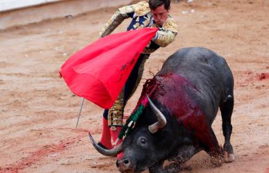 Van contra las corridas de toros en Tamaulipas, ¿tradición o tortura?