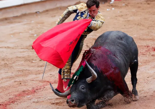 Van contra las corridas de toros en Tamaulipas, ¿tradición o tortura?