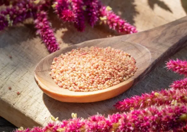 Amaranto: Conoce el tesoro nutricional de México