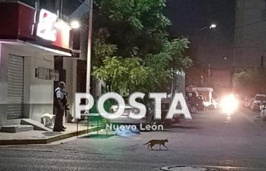 Asesinan a hombre frente a su madre en un negocio de Monterrey