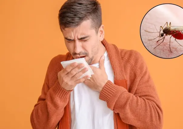 ¿Cómo saber si tengo dengue? Estos son los síntomas clave
