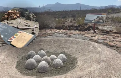 Rincón Colorado, Coahuila: Más de 70 millones de años de historia paleontológica