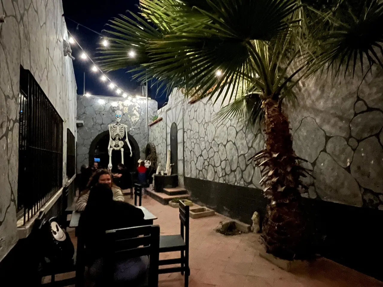 Descubre Café Transilvania: El paraíso de los fanáticos del horror