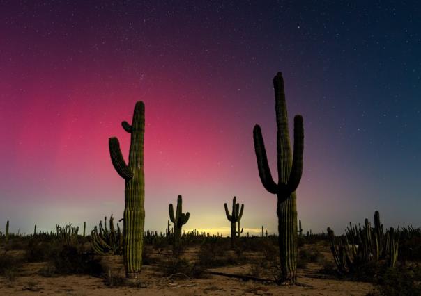 Auroras boreales: ¿Se verán este viernes 11 de octubre en México?