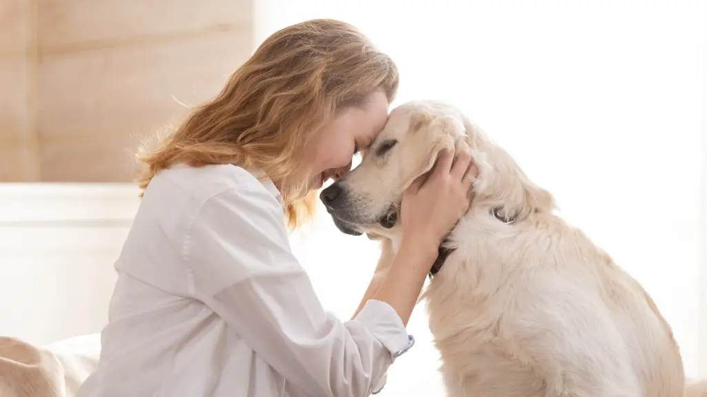 Conoce los grandes beneficios que una mascota trae para tu bienestar