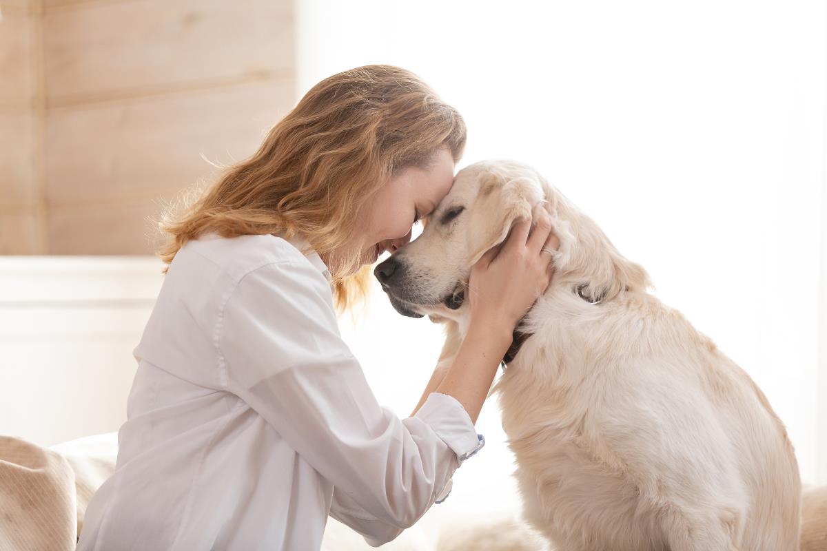 Persona con su mascota en casa. Foto: Canva