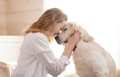 Conoce los grandes beneficios que una mascota trae para tu bienestar