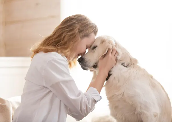 Conoce los grandes beneficios que una mascota trae para tu bienestar