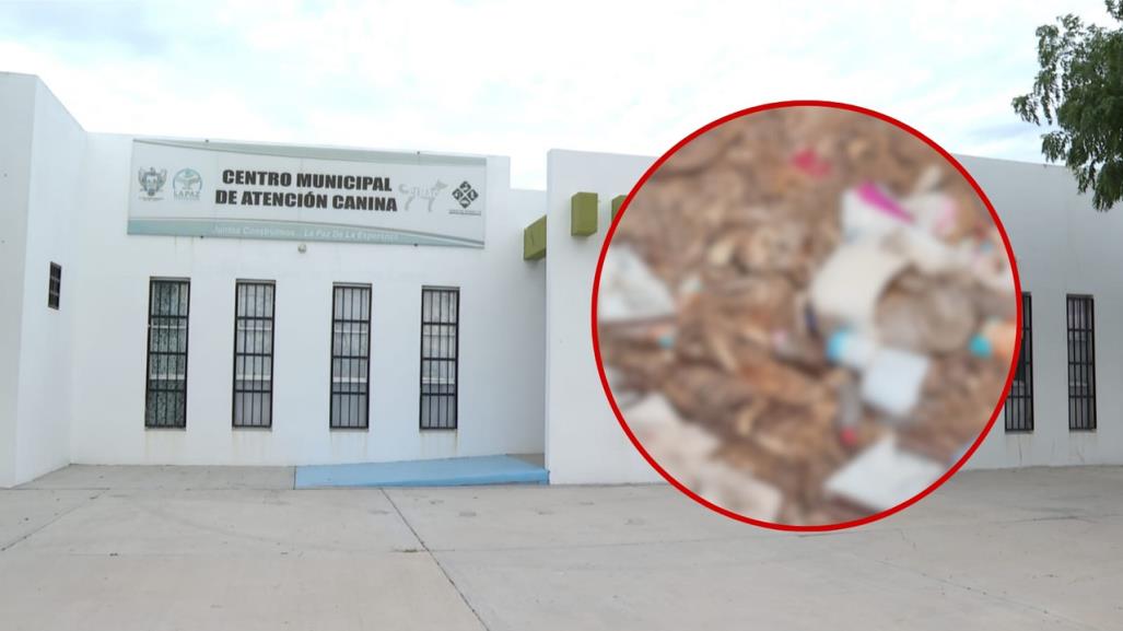 Denuncian cementerio clandestino de perros detrás de CEMAC en La Paz