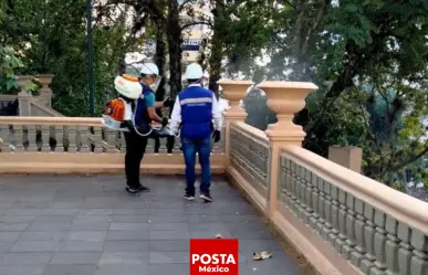 Suben los casos de dengue en Xalapa: ¡Más de 300 en solo un mes!
