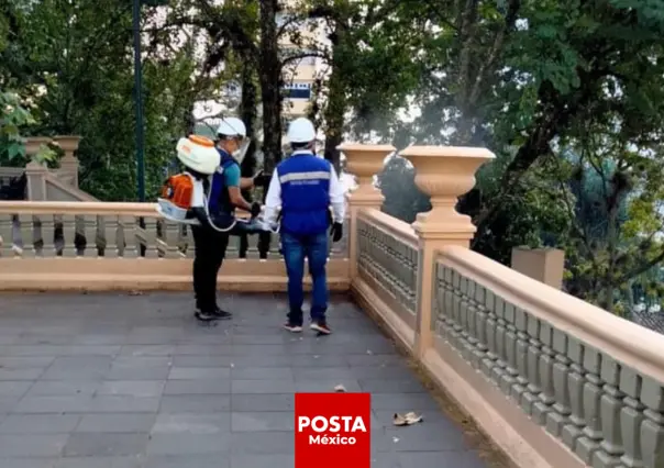 Suben los casos de dengue en Xalapa: ¡Más de 300 en solo un mes!