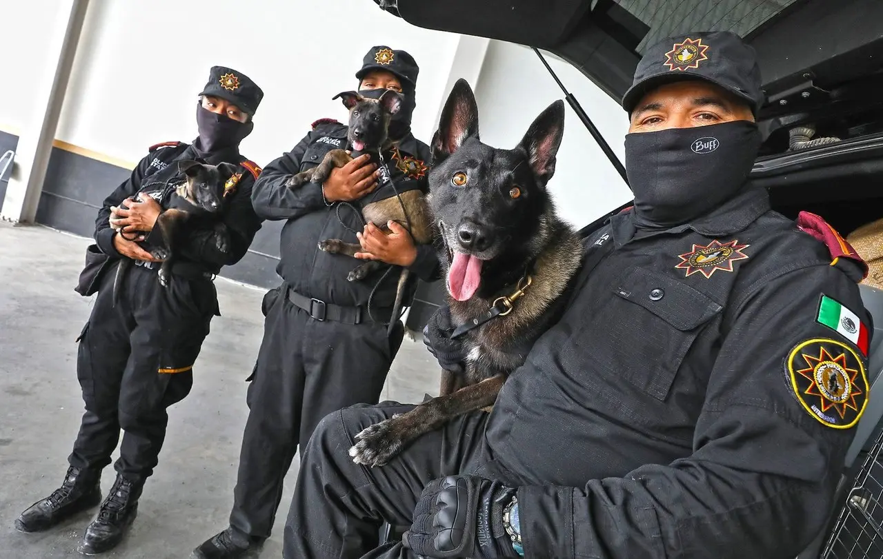 Policías de Fuerza Civil con los elementos de la Unidad K9. Foto: Vianca Treviño.