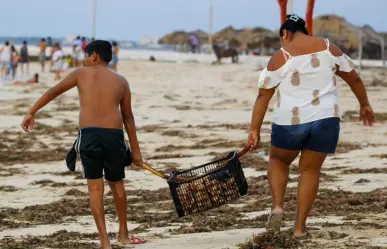 Huracán ‘Milton’ deja regalos a pobladores en las playas de Sisal