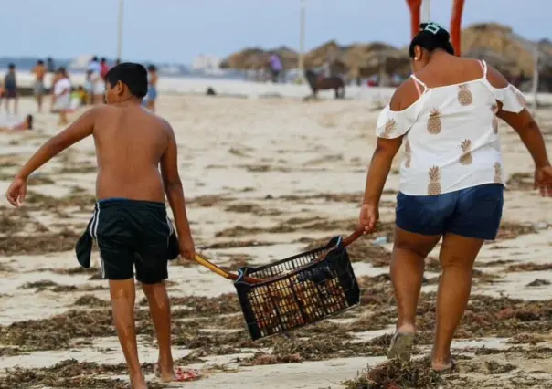 Huracán ‘Milton’ deja regalos a pobladores en las playas de Sisal