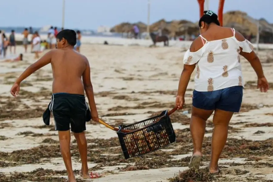 Huracán ‘Milton’ deja regalos a pobladores en las playas de Sisal