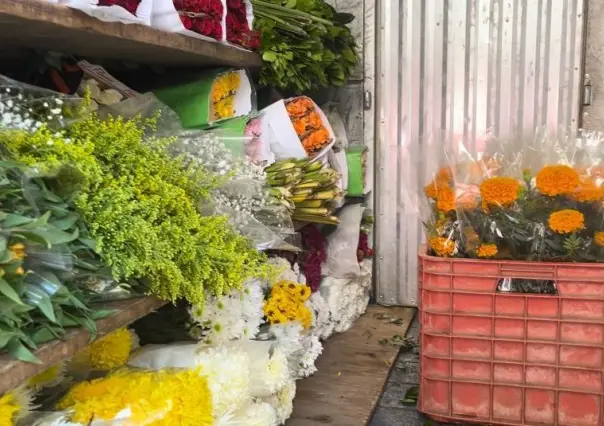 Demanda de Cempasúchil en Saltillo: florerías se preparan para día de muertos