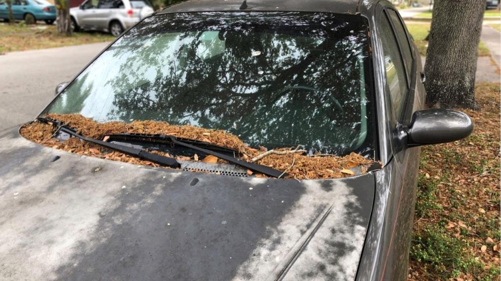 ¿Cómo solicitar que retiren un auto abandonado en la calle?