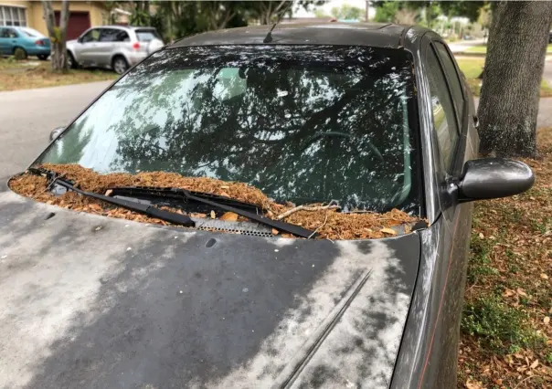 ¿Cómo solicitar que retiren un auto abandonado en la calle?