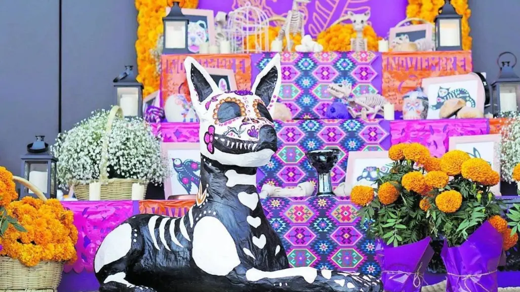 Día de Muertos: ¿Cuándo se debe poner el altar a las mascotas?