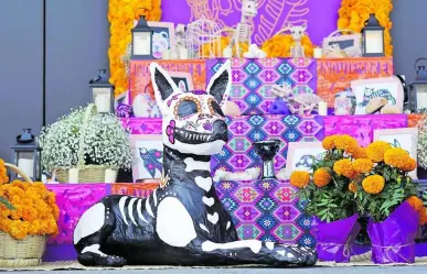 Día de Muertos: ¿Cuándo se debe poner el altar a las mascotas?