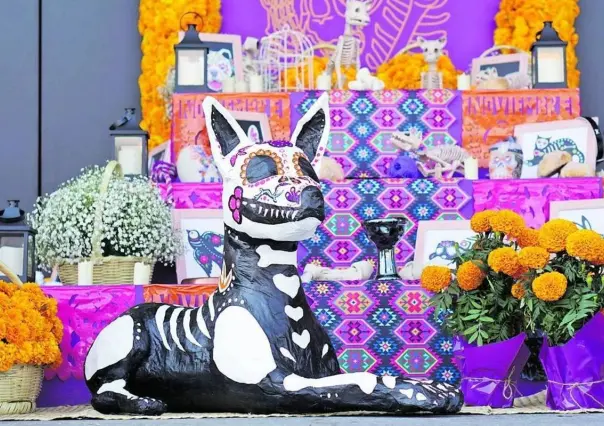 Día de Muertos: ¿Cuándo se debe poner el altar a las mascotas?