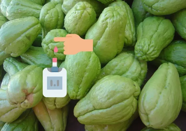 Chayote saludable,  la fruta que debes comer para prevenir la diabetes