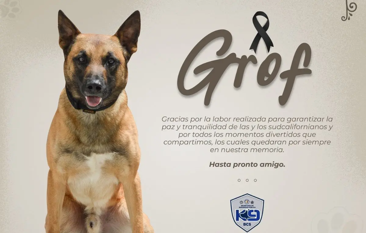 Grof fue hallado sin vida tras haber sido reportado como desaparecido. Foto: SSPE