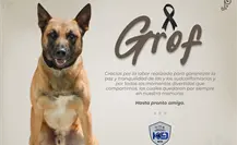 ¿Cuál era la labor de Grof, el perro K9 de la Unidad en La Paz? ¿Cuál era la labor de Grof, el perro K9 de la Unidad en La Paz?