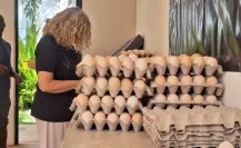 Los Mayas Eternos envían una tonelada de huevos a damnificados de Celestún