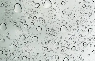 Onda tropical 26 provoca lluvia en estos estados, confirman las autoridades