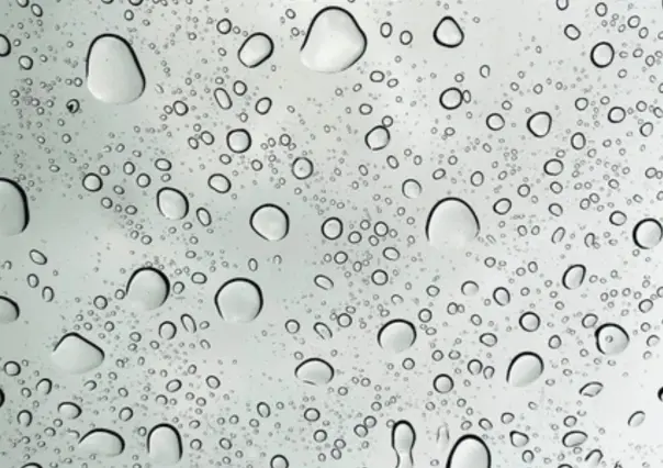 Onda tropical 26 provoca lluvia en estos estados, confirman las autoridades