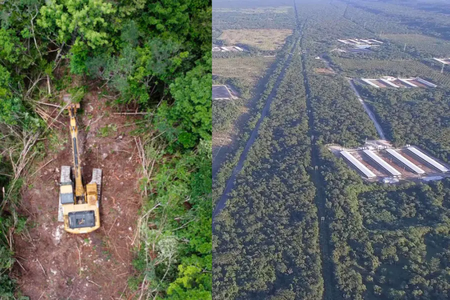 Pueblo maya pide declarar emergencia socioambiental en la Península de Yucatán