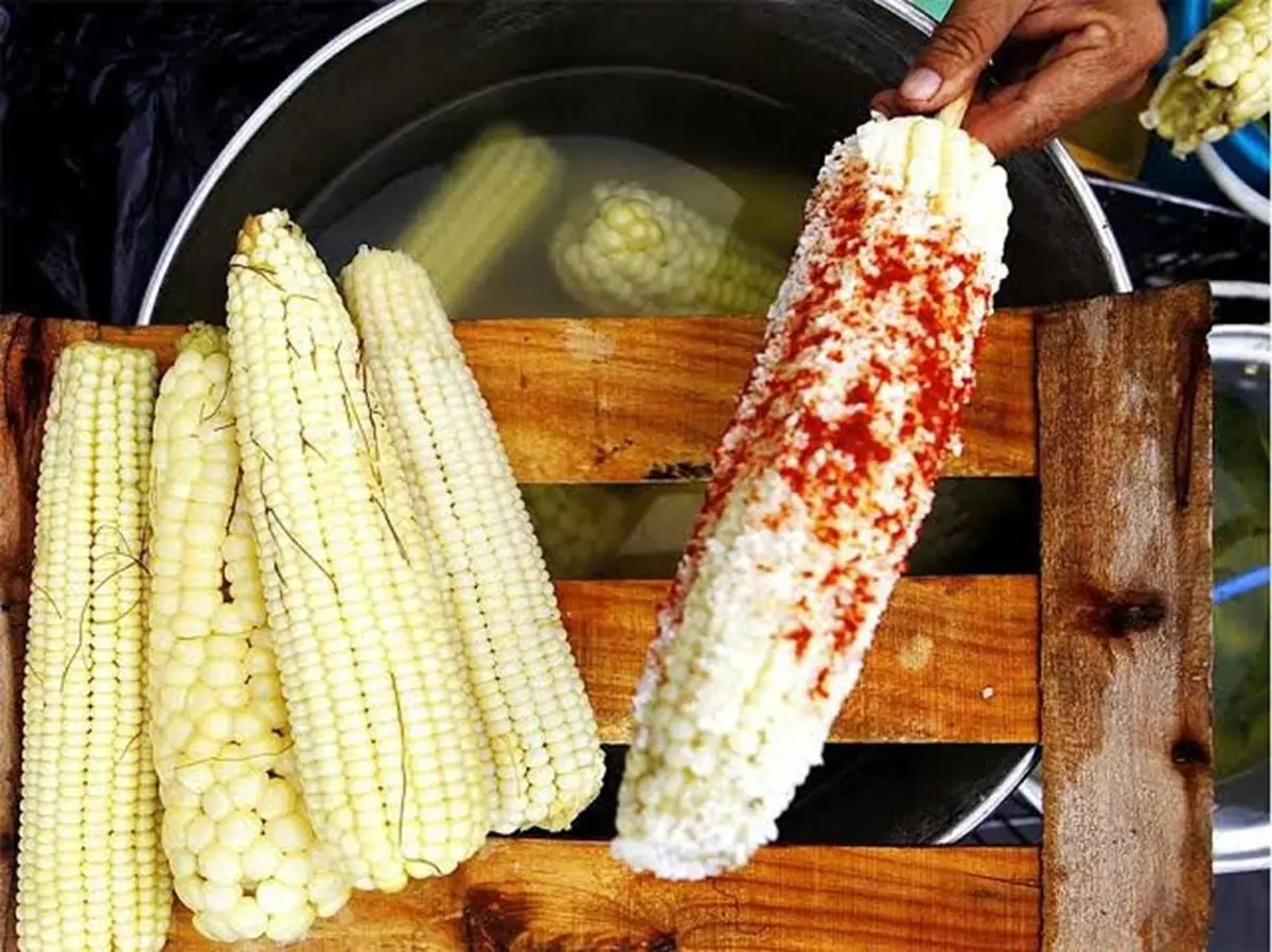 Elote Fest 2024: ¿cuándo y en dónde es el festival gratuito de Nuevo León?