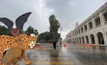 Frentes Fríos en Yucatán: ¿Por qué tienen nombres de animales en maya?