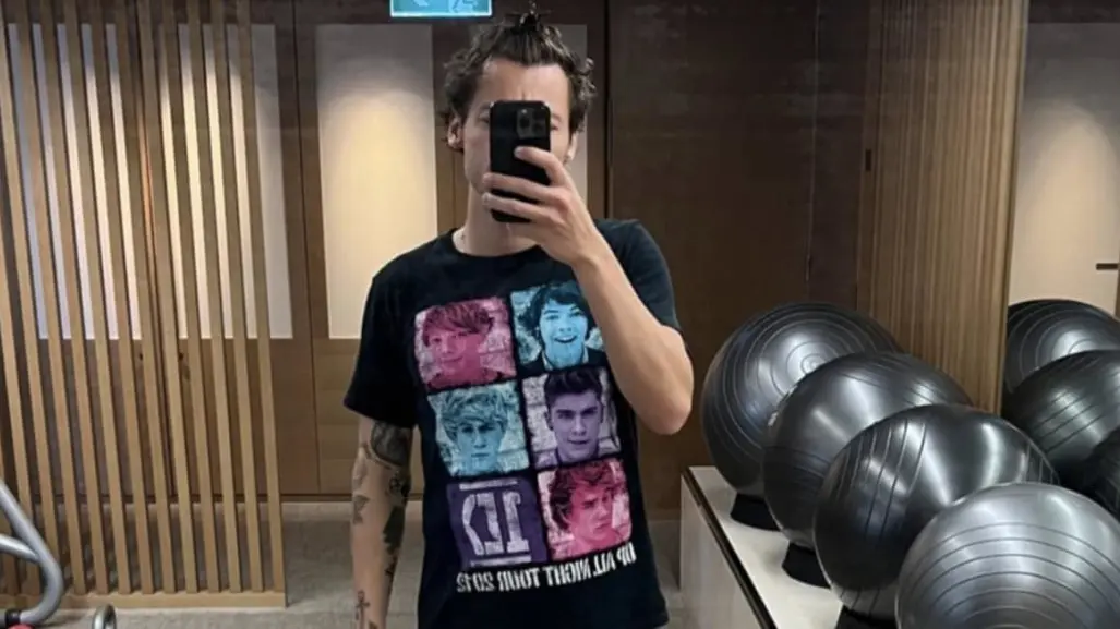 Harry Styles lanza un juguete sexual y se agota en una hora; descubre si llegará a México y cuánto cuesta