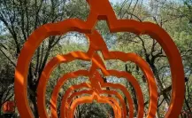 Otoño en Monterrey: Estos son los mejores eventos y exposiciones en Nuevo León