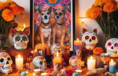 Día de muertos: ¿Qué día hay que poner el altar de muertos para las mascotas?