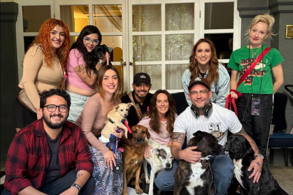 Adopta, la fundación que visitó Tom Hardy en su visita a CDMX. Foto: IG tomhardy